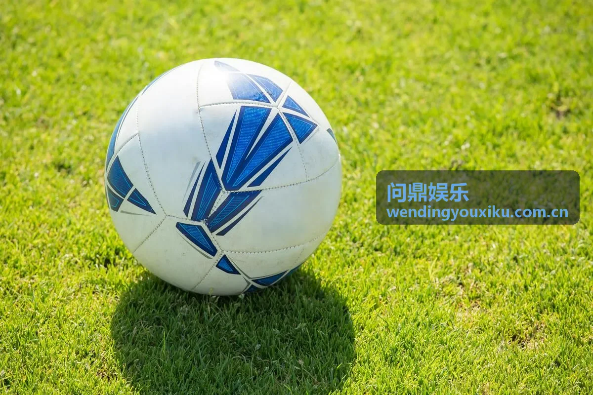 问鼎娱乐用户评价