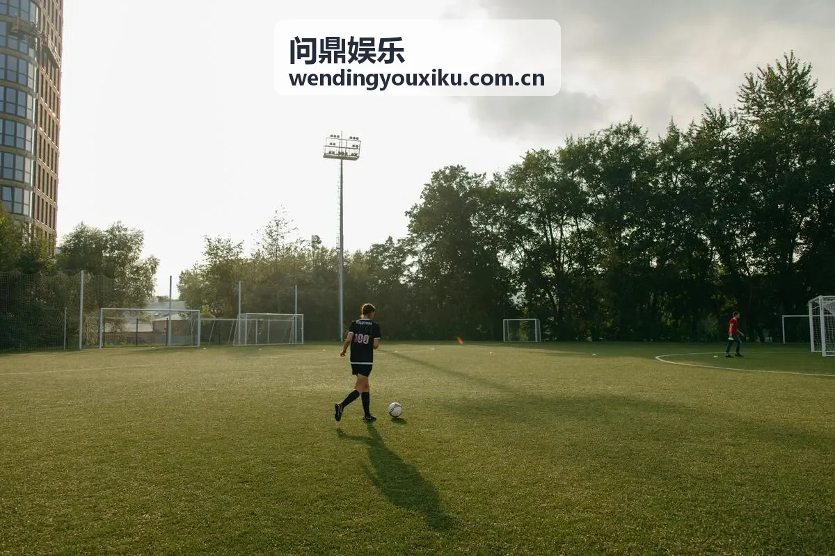 问鼎娱乐王者荣耀职业联赛决赛舞台